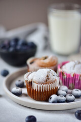 Blueberry muffins, sprinkled with powdered sugar, in paper tins, on a gray plate, in the background a bowl of blueberries and a glass of milk.