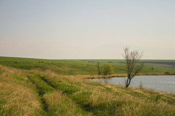 Contry road through meadows by the pond in spring, Ukriane