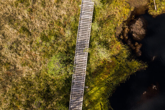 Kalnansu swamp lake with footbridge around, Kabile, Latvia