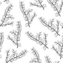 Minimal eucalyptus leaves twig seamless pattern, vector hand drawn illustration isolated on white background