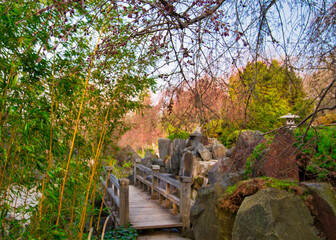 Japanischer Garten  EGA Erfurt Kirschblüte