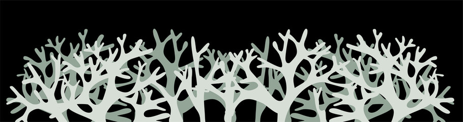 Gray-green deer moss, lichen long stripe on dark background