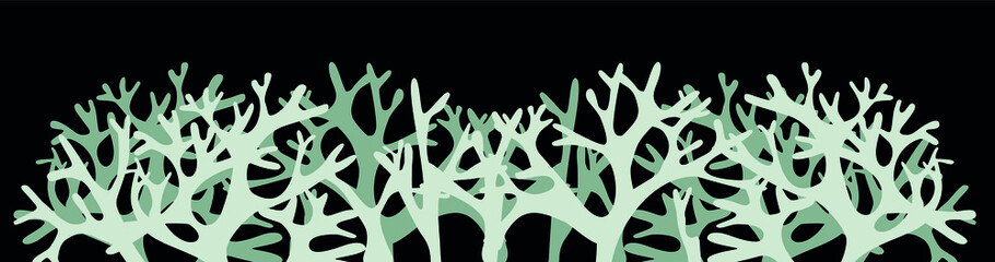 Gray-green deer moss, lichen long stripe on dark background © Ольга Бошарова