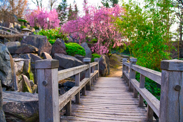 Japanischer Garten  EGA Erfurt Kirschblüte