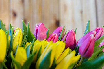 A huge bouquet of yellow-lilac tulips. Spring flowers. Close-up