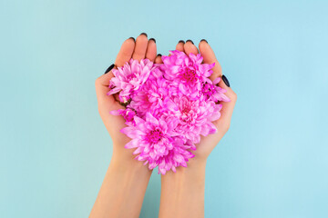Young woman holding pink flowers in hands on soft bright blue background. Perfect black matte manicure. Beautiful florist heart shape composition. Minimal rejuvenation treatment flatlay love concept