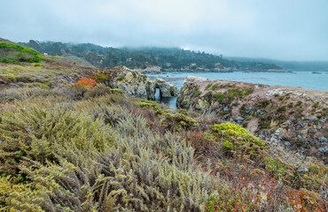 Beautiful landscape, view rocky Pacific Ocean coast at Point Lobos State Reserve in Carmel,...