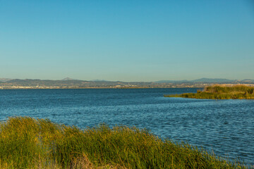 El Palmar, Valencia, Spain