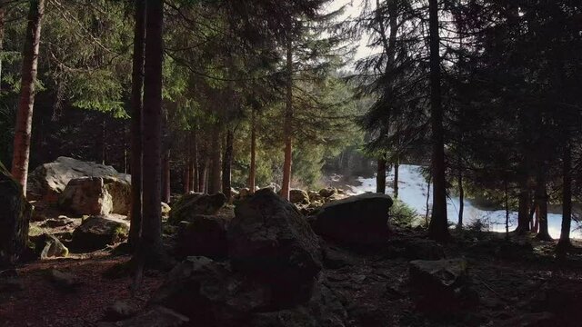 f&ocirc;ret 4k