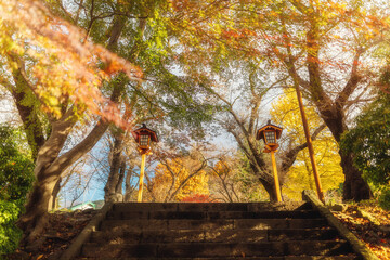 Lamps and Walkway to Red Pagoda with maple trees on the side of road in autumn at Yamanashi, Japan.