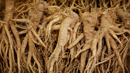 Various grain herbal medicinal herbs in the traditional market