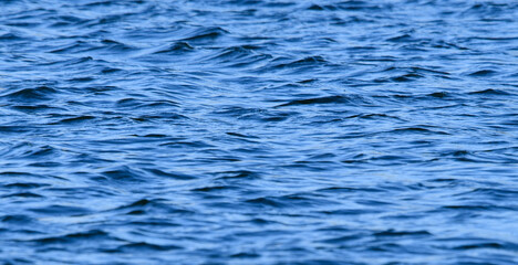 Small waves in a lake during wintertime