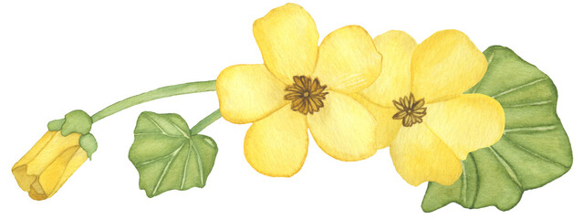 Watercolor composition of yellow spring flowers with leaves