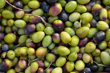 Top down view of a pile of organic olives