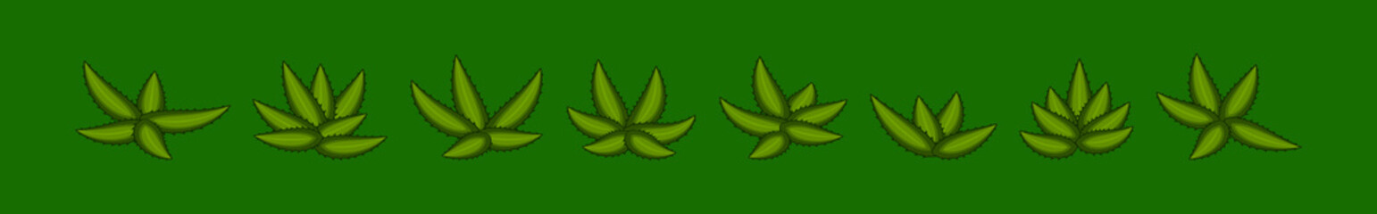set of maguey plant cartoon icon design template with various models. vector illustration isolated on green background