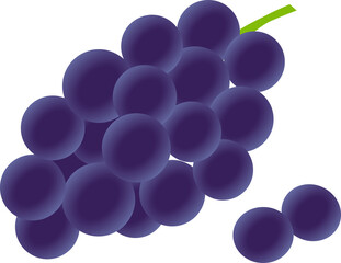 おいしそうなぶどうのイラスト