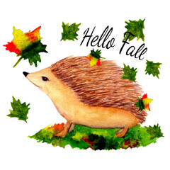 Watercolor hedgehog with falling leaves and quote Hello Fall