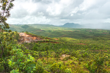 Fototapeta na wymiar Panoramic view on lush New Caledonian forest, and a red dusty road leading to the mountains on the background.
