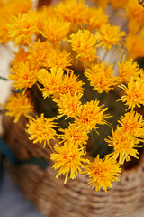 bouquet of chrysanthemums