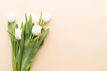 white tulip bouquet on pastel background