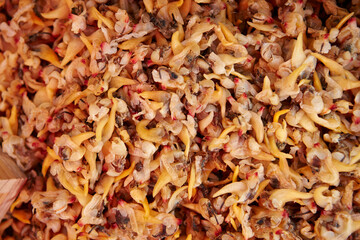 Dried clams in a traditional market