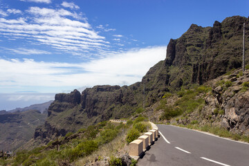 Landscape photograph of mountains, plants and a road