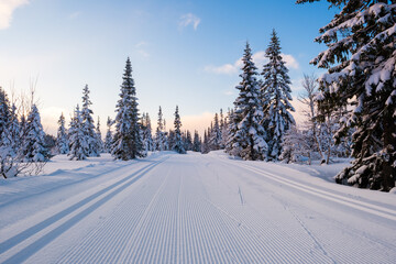 Cross country skiing track