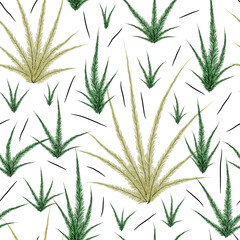Cute coniferous bushes on a white background. Seamless pattern.