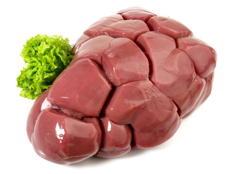 Fresh Veal Kidney isolated on white Background