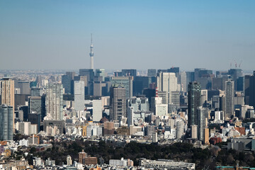 東京都 渋谷の展望台から見える東京の眺望