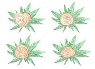 Watercolor Wooden Slices with Cannabis plant leaves