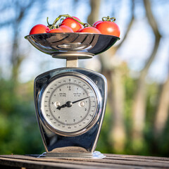 Tomates
