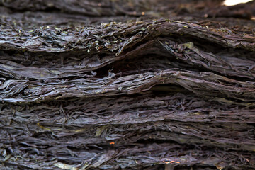 Dried seaweed stacked in a traditional market