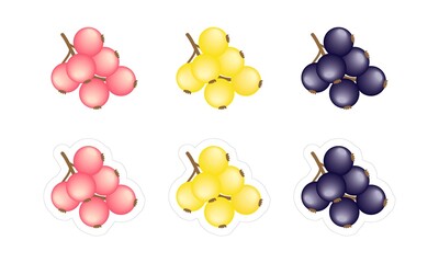 Stickers pack with white border of black, red and yellow currant berries. Simple vector icons of blackcurrant, redcurrant and golden currant fruits, isolated on white background