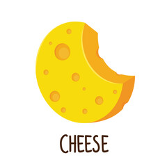 Cheese vector. Cheese on white background.