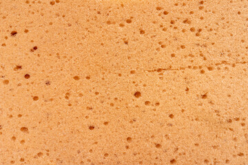 Gąbka do kąpieli i mycia auta. © Miosz