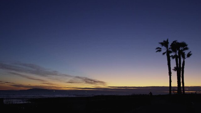 Palm tree silhouette against the dusk sunset sky on the California coast, Ventura