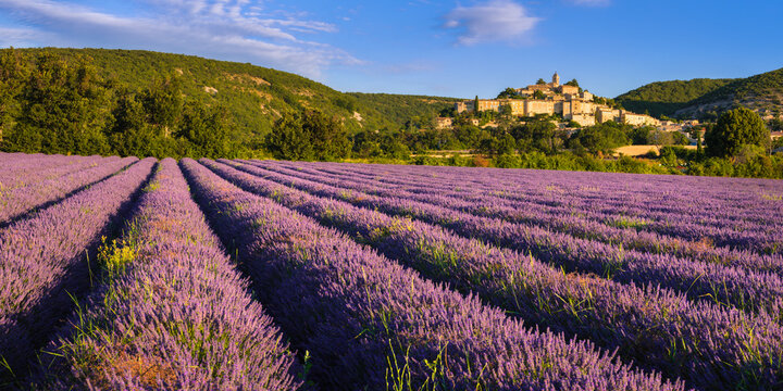 The village of Banon in Provence with lavender fields at sunrise in summer. Alpes-de-Haute-Provence, French Alps, France