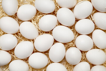 White chicken eggs on wood shavings. Easter. Shooting from above close up. Pattern. Background.
