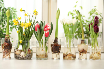 Fototapeta na wymiar Different beautiful spring flowers in glassware on window sill