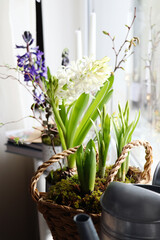Beautiful spring plants and decoration on window sill