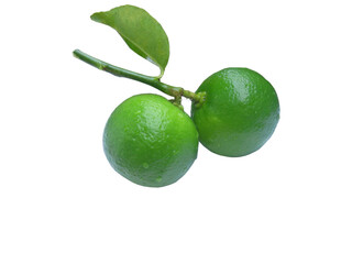 lime on white background
