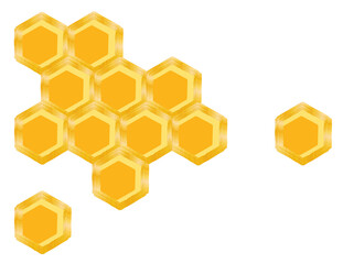 honeycomb isolated on a white background