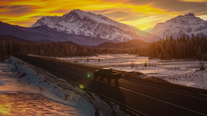 Pickup on Road photo on mountains snow covered fields landscape road driving. - obrazy, fototapety, plakaty