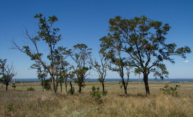 Russia Krasnodar krai views of the village of Taman