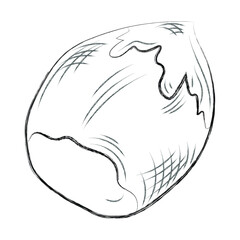 Hazelnut. Healthy vegan food for vegetarian concept. Black and white hand drawn charcoal drawing. Vector illustration. Isolated on white.