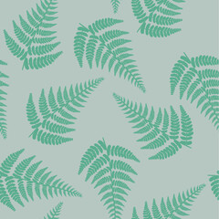 fern pattern