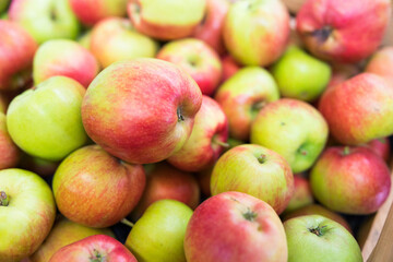 Fototapeta na wymiar Viele Äpfel nach der Ernte