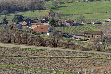 Fototapeta na wymiar Landscape of vineyards around Brouilly, a famous Beaujolais wine