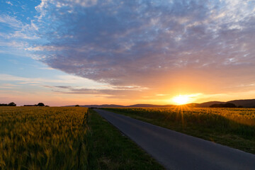Sonnenuntergang über Getreidefeld